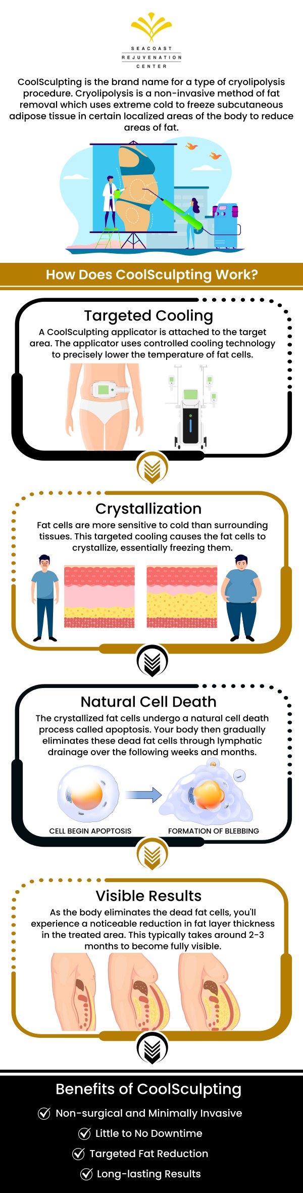 The CoolSculpting fat-freezing procedure is completely non-surgical, so you can typically return to work and normal activities immediately. Seacoast Rejuvenation Center offers a CoolSculpting fat-freezing procedure. Book an appointment online today or contact us for more information. Our med spa is conveniently located at 101 Shattuck Way Suite #1 Newington, NH 03801. The CoolSculpting fat-freezing procedure is completely non-surgical, so you can typically return to work and normal activities immediately. Seacoast Rejuvenation Center offers a CoolSculpting fat-freezing procedure. Book an appointment online today or contact us for more information. Our med spa is conveniently located at 101 Shattuck Way Suite #1 Newington, NH 03801.